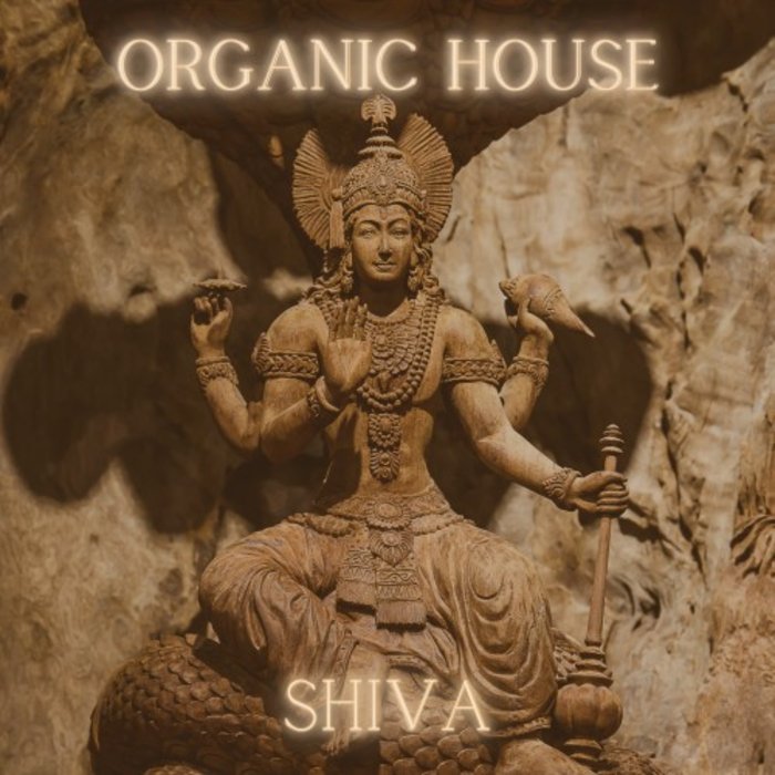VARIOUS - Organic House - Shiva