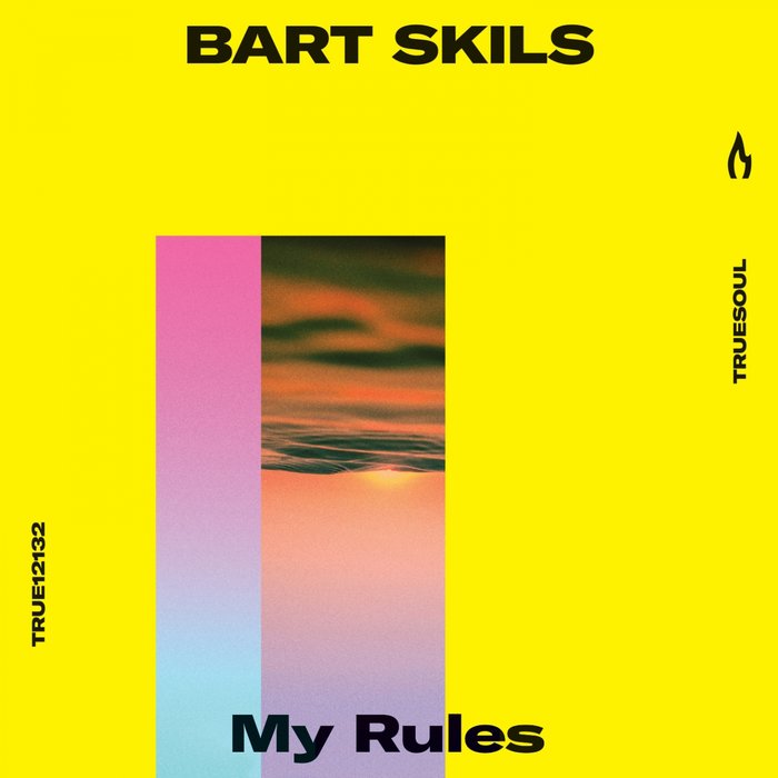 BART SKILS - My Rules