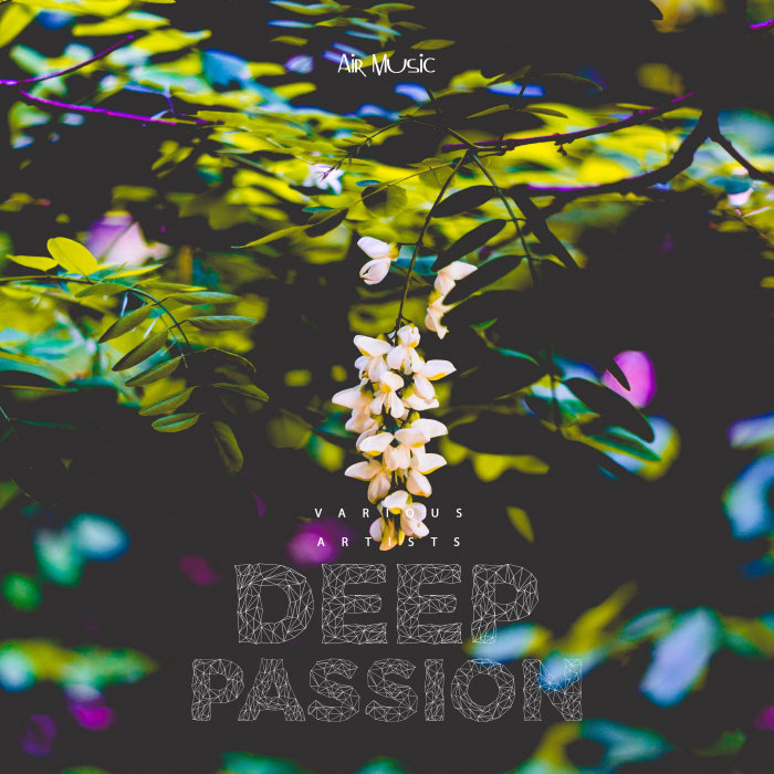 VARIOUS - Deep Passion