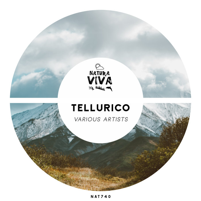 VARIOUS - Tellurico