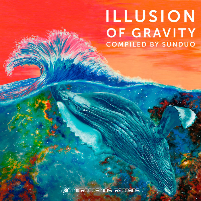 VARIOUS - Illusion Of Gravity