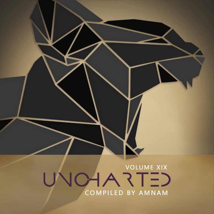 AMNAM/VARIOUS - Uncharted Vol 19