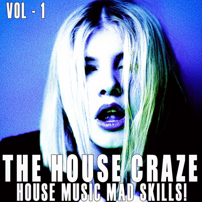 VARIOUS - The House Craze Vol 1