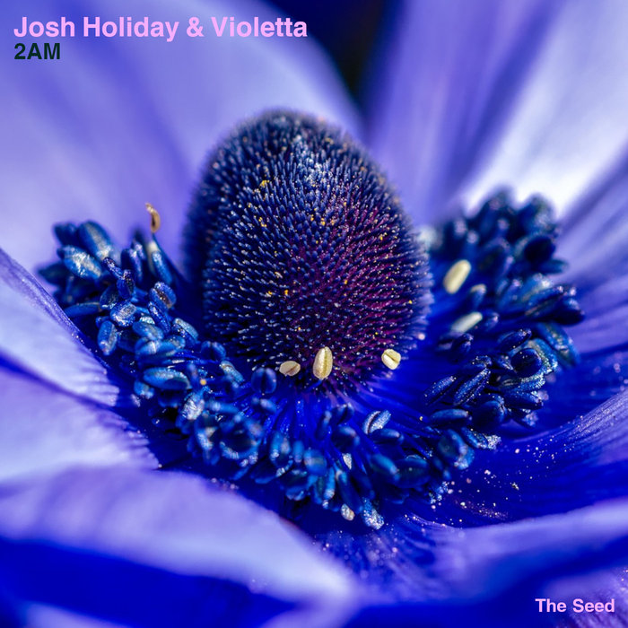 JOSH HOLIDAY/VIOLETTA - 2 AM