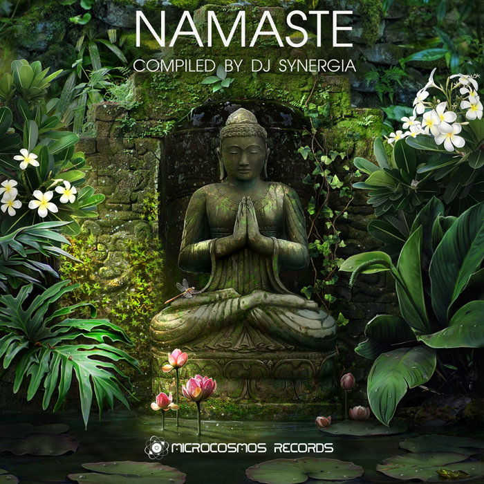 VARIOUS - Namaste