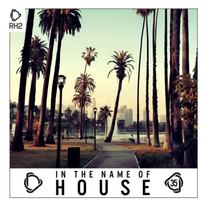 VARIOUS - In The Name Of House Vol 35