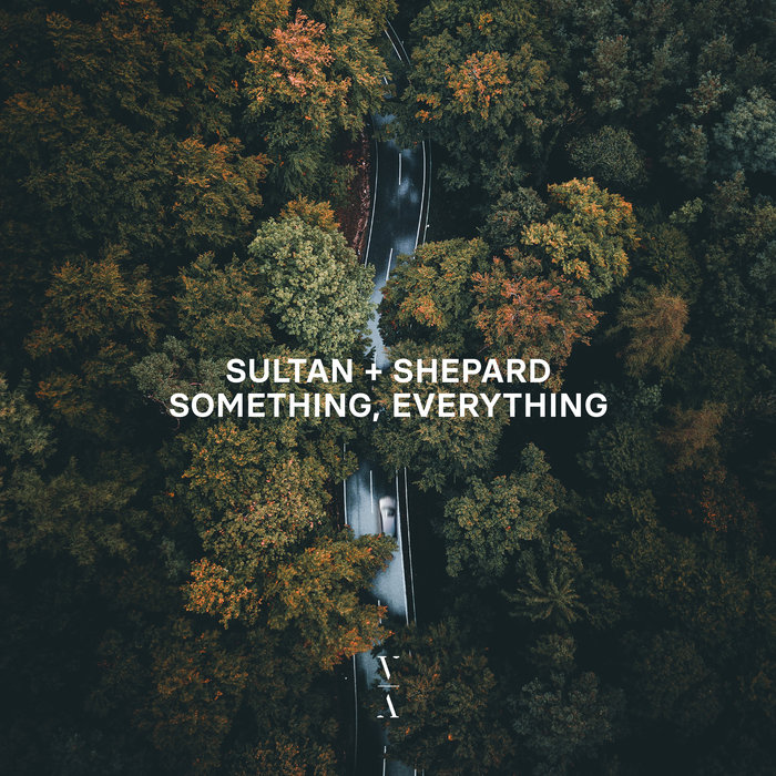 Something, Everything by Sultan + Shepard on MP3, WAV, FLAC, AIFF & ALAC at  Juno Download