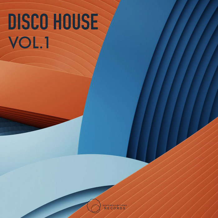 VARIOUS - Disco House Vol 1