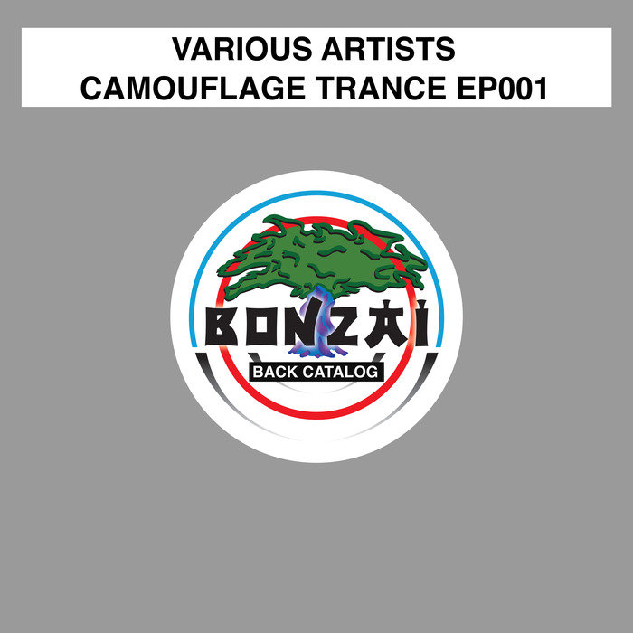 BEYOND VISION/DEREK THE BANDIT/CORRIE THERON/ALEX TROUBLE - Camouflage Trance EP001