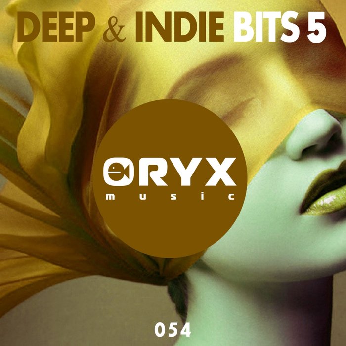 VARIOUS - Deep & Indie Bits 5