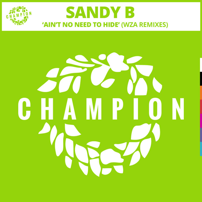 SANDY B - Ain't No Need To Hide (WZA Remixes)