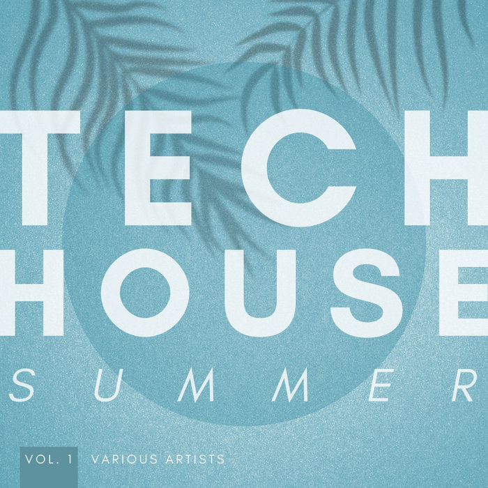 VARIOUS - Tech House Summer Vol 1