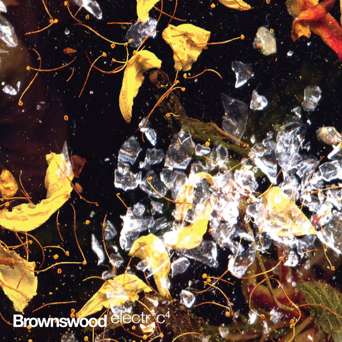 VARIOUS - Brownswood Electric 4