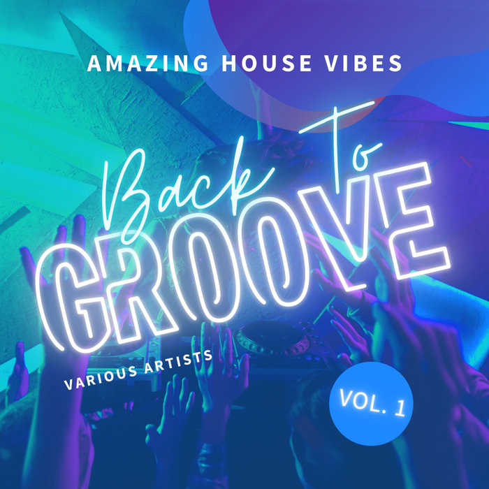 VARIOUS - Back To Groove (Amazing House Vibes) Vol 1