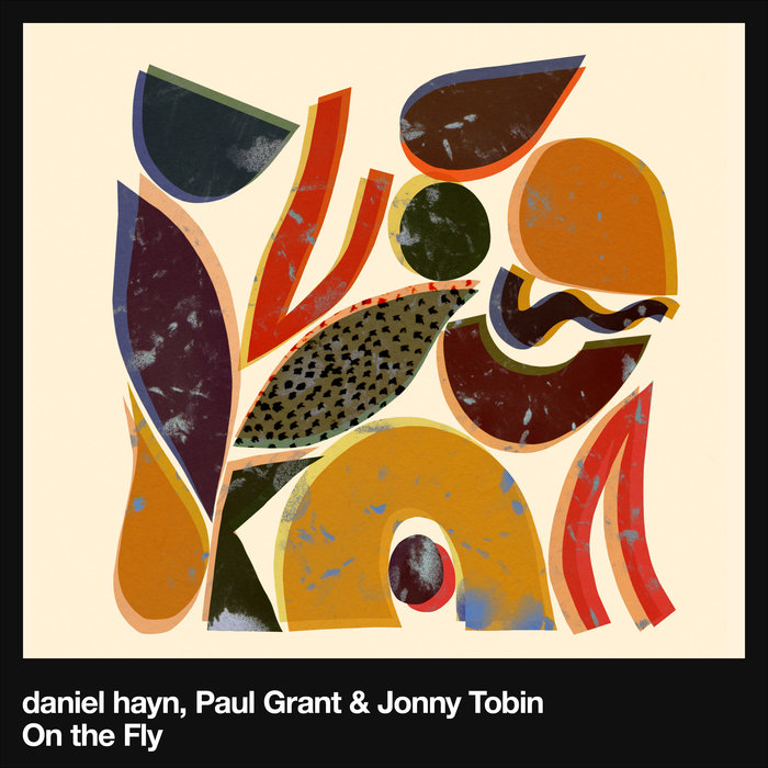 DANIEL HAYN/PAUL GRANT/JONNY TOBIN - On The Fly