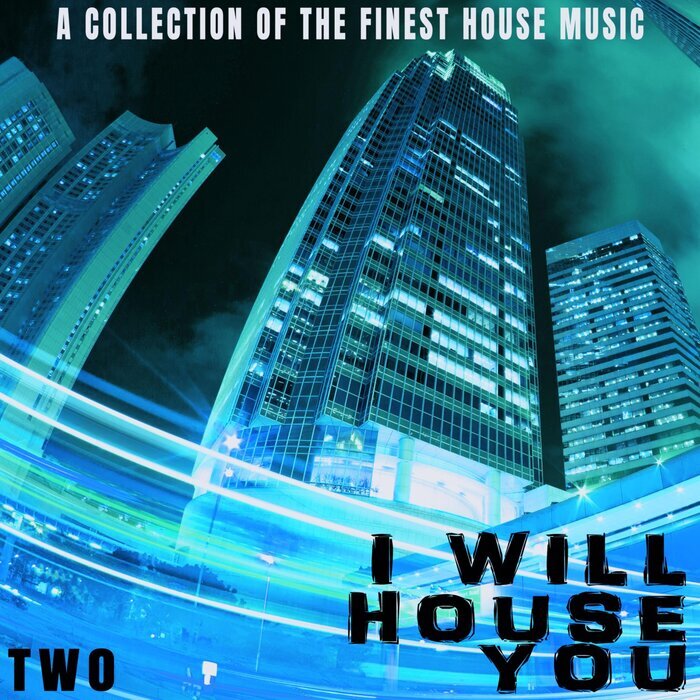 VARIOUS - I Will House You: Two - A Collection Of The Finest House Music