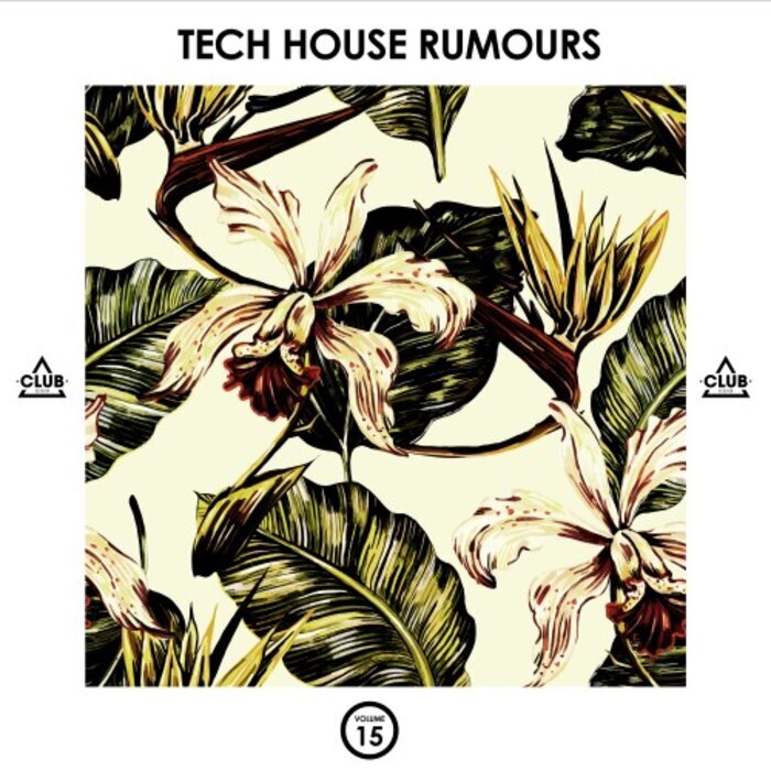 VARIOUS - Tech House Rumours Vol 15