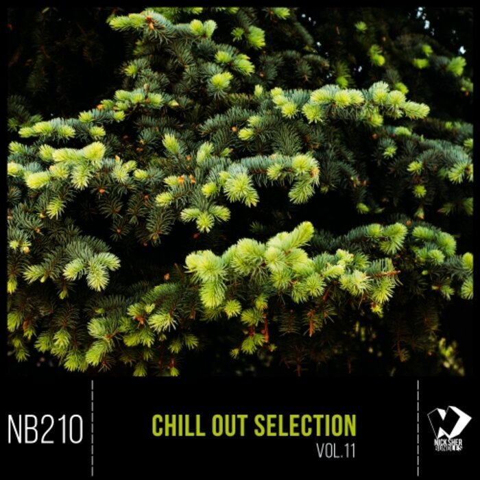 VARIOUS - Chill Out Selection Vol 11