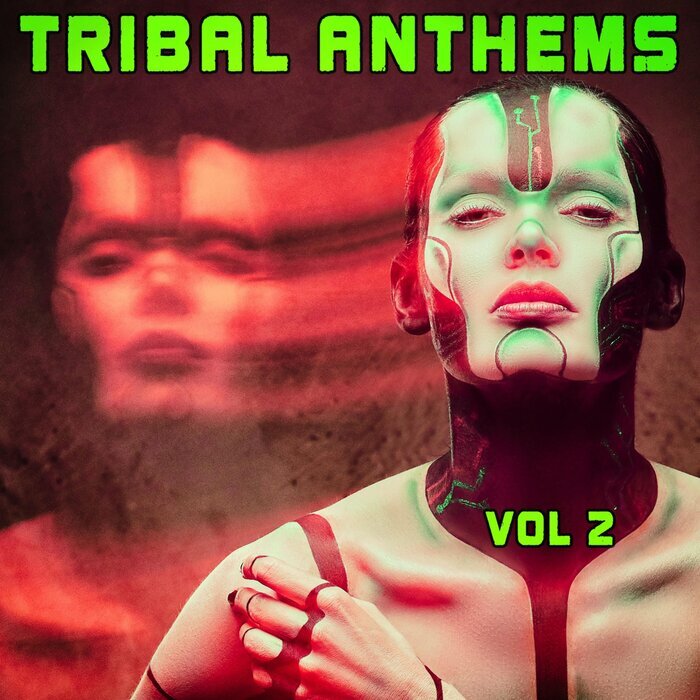 VARIOUS - Tribal Anthems Vol 2