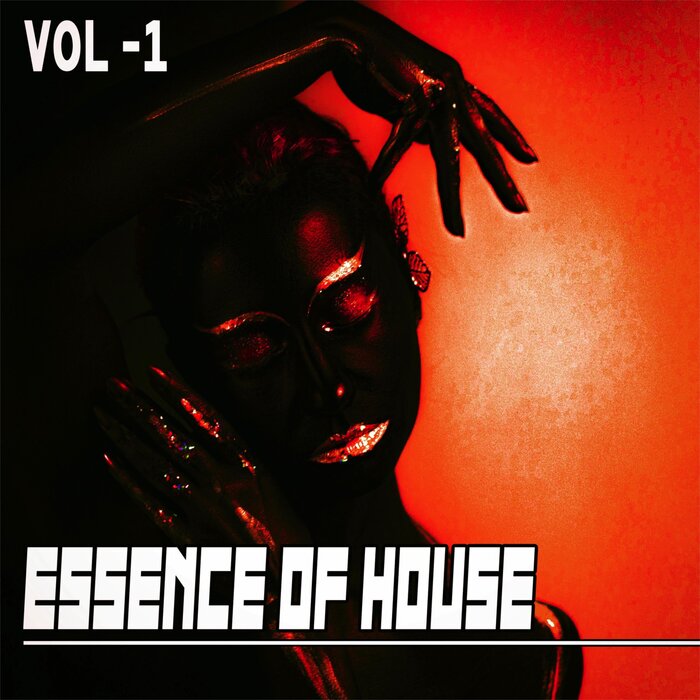 VARIOUS - Essence Of House 1 - House & Deep House Collected
