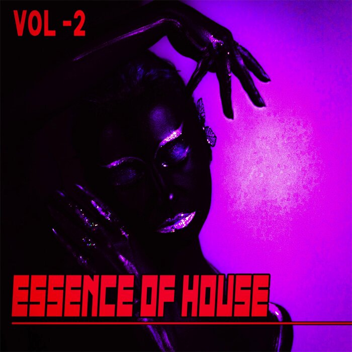 VARIOUS - Essence Of House 2 - House & Deep House Collected
