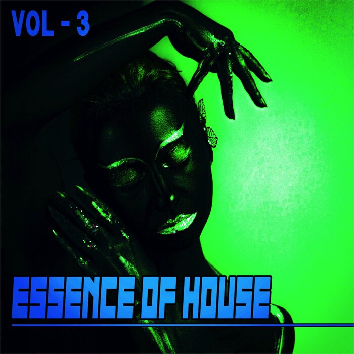 VARIOUS - Essence Of House 3 - House & Deep House Collected