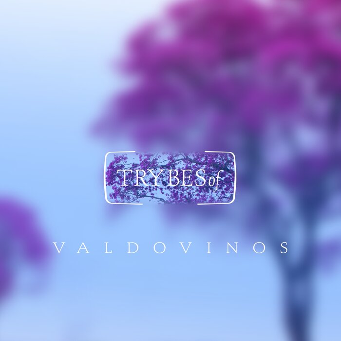 VALDOVINOS - Asterisms EP