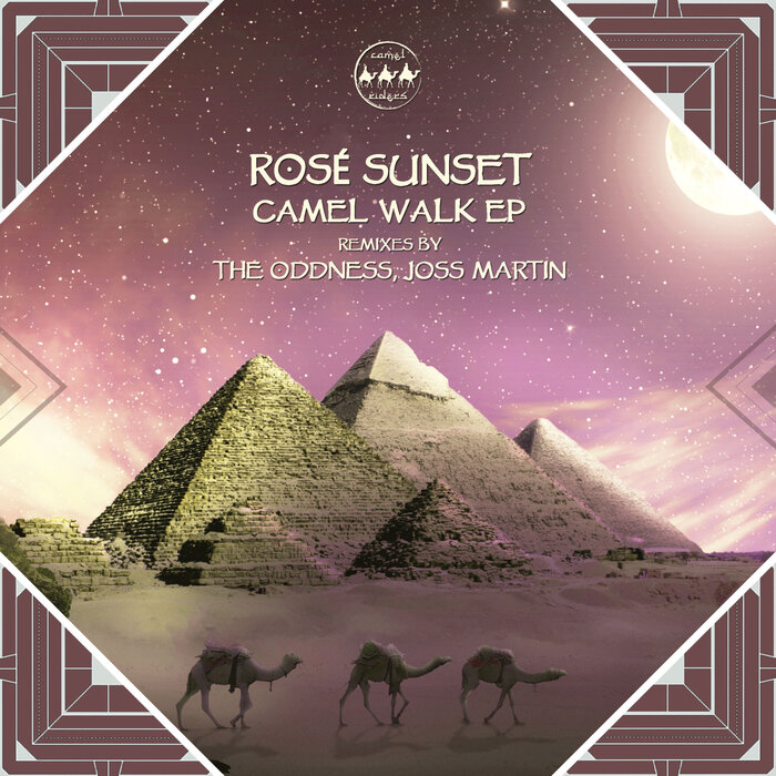 ROSE SUNSET - Camel Walk