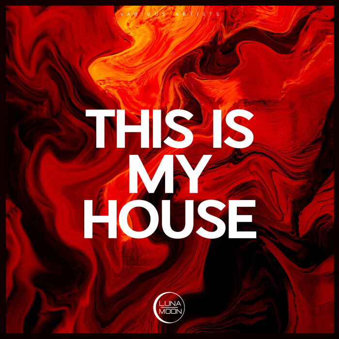 VARIOUS - This Is My House