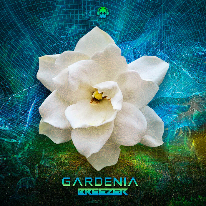 BREEZER LIVE - Gardenia