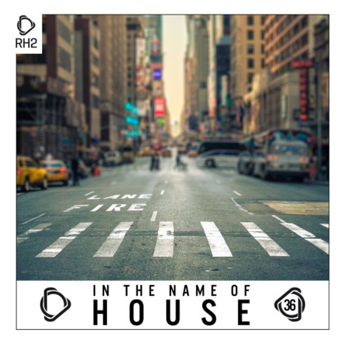 VARIOUS - In The Name Of House Vol 36