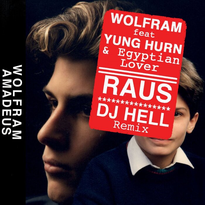 Wolfram - Raus (DJ Hell Remix)