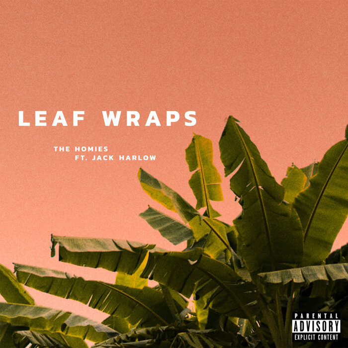 THE HOMIES feat JACK HARLOW - Leaf Wraps
