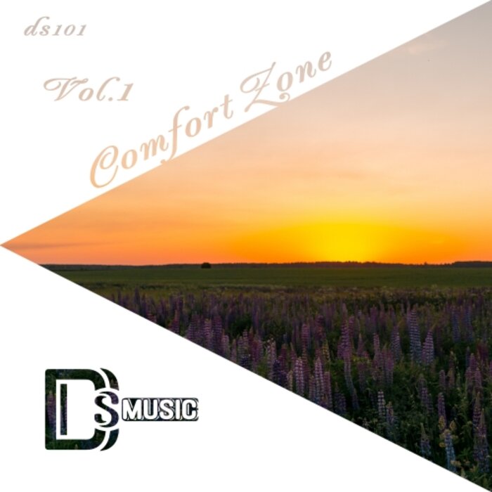 VARIOUS - Comfort Zone Vol 1