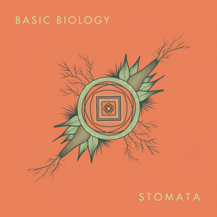 Basic Biology - Stomata LP