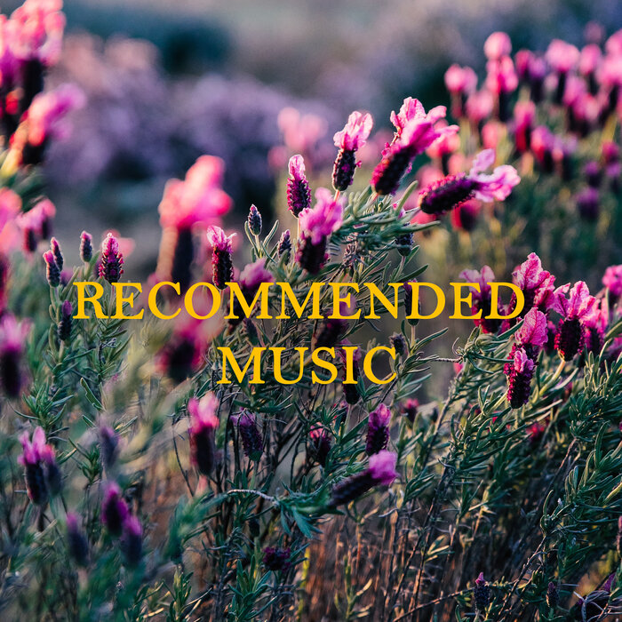 VARIOUS - Recommended Music