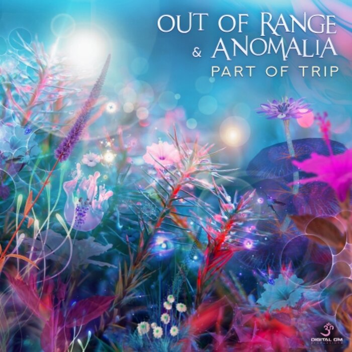 OUT OF RANGE/ANOMALIA - Part Of Trip (Original Mix)