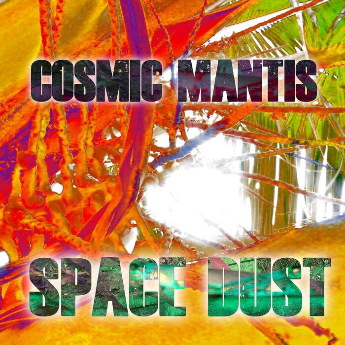 Cosmic Mantis - Space Dust