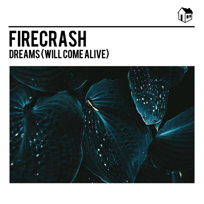Firecrash - Dreams (Will Come Alive)