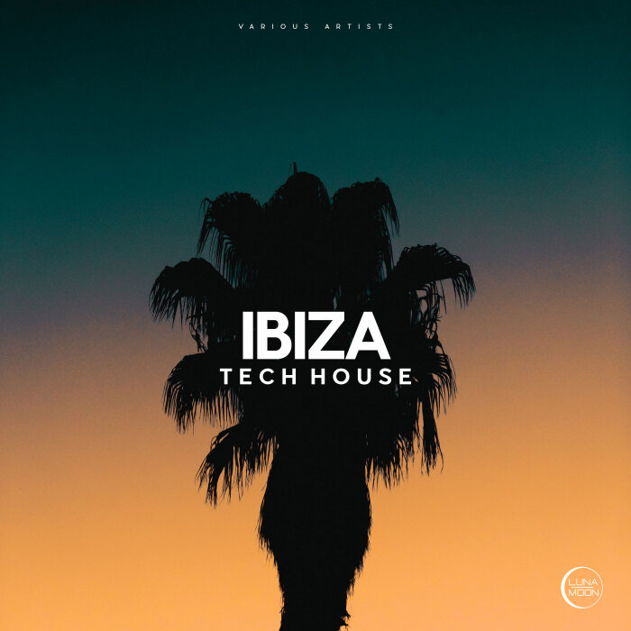 Various Tech House at Juno Download