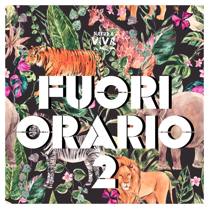 Various - Fuori Orario Vol 2
