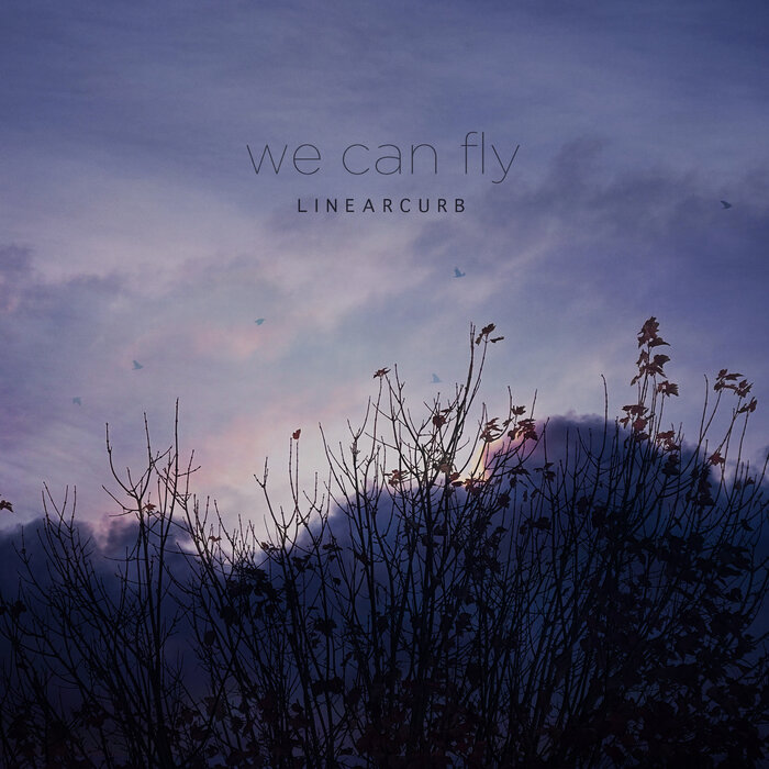 Download Linear Curb - We Can Fly mp3