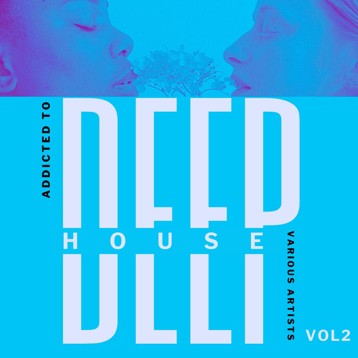 Various - Addicted To Deep-House Vol 2