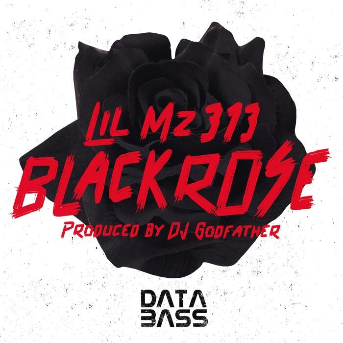 Lil Mz 313 - Black Rose
