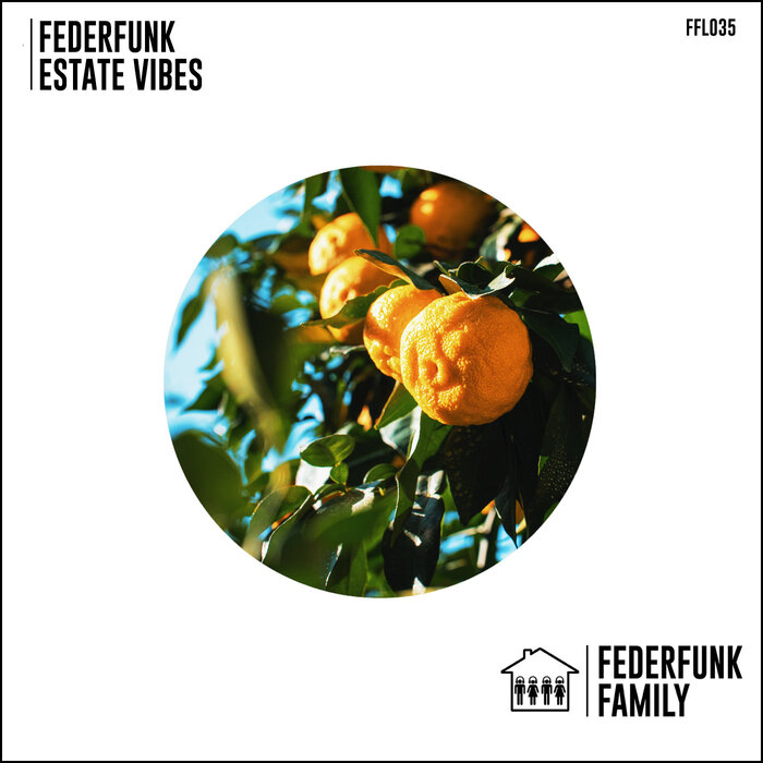 FederFunk - Estate Vibes