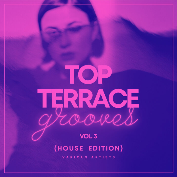 Various - Top Terrace Grooves (House Edition), Vol 3