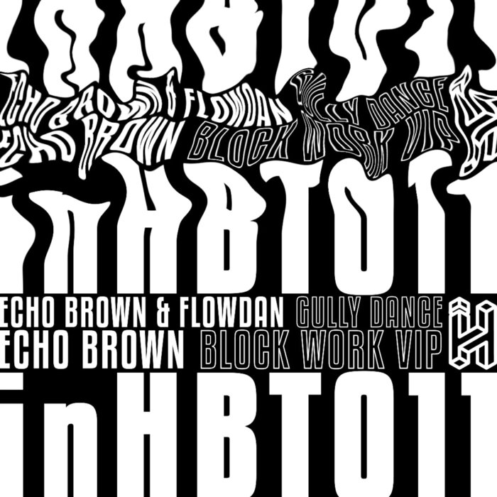Echo Brown/Flowdan - Gully Dance / Block Work (VIP)