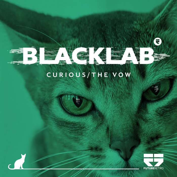 Blacklab - Curious/The Vow