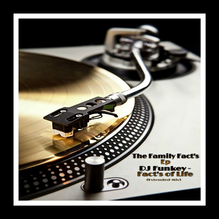 DJ Fun Key - Facts Of Life (Extended Mix)