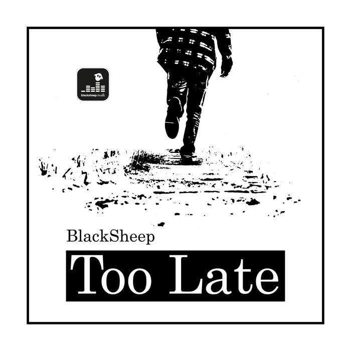 BlackSheep - Too Late (Black Soul Mix)